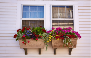 Two windows adorned with colorful flowers in neutral window boxes.