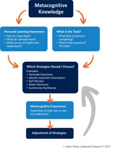 Metacognitive Infographic.