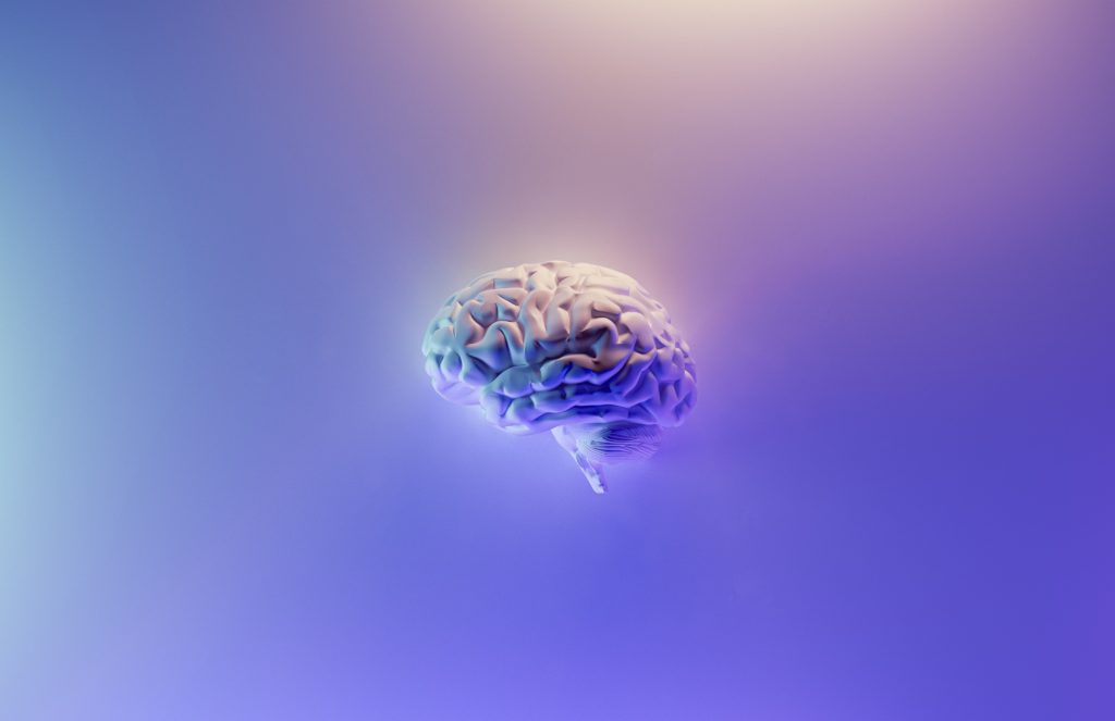 Graphic of a model brain with a purple background.